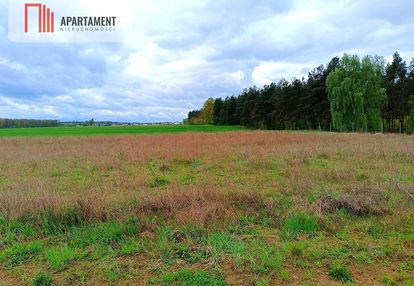 Morzewiec 1022m cisza spokój ściana lasu