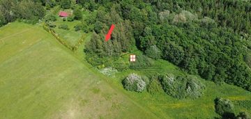 Działka o powierzchni 46a w borownicy, gm.bircza