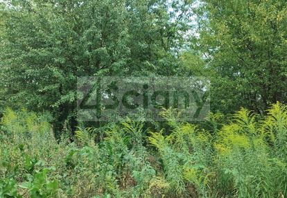 Działka prawie w lesie młochowskim