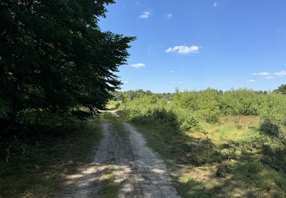 Działka pod zabudowę w strzebielinie, blisko lasu