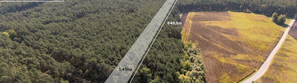 Działka leśna / natura 2000