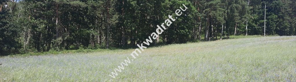 Urokliwa działka budowlana w okolicy las cisza