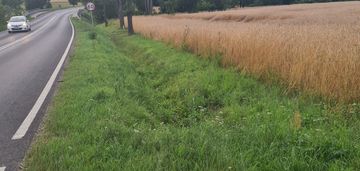 Działka rolna  kleszewo 1,1ha, warunki zabudowy