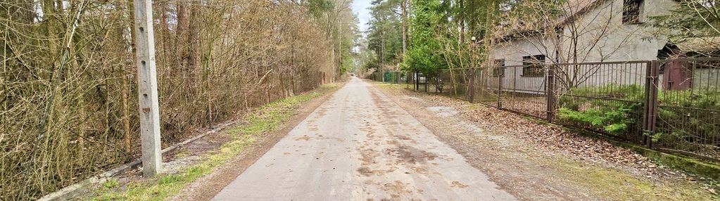 Działka zabudowana – zalesie górne- kwiat paproci