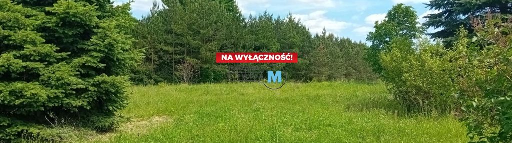 Okazja! działka z domkiem do zamieszkania!