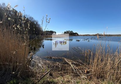 Działka przy lesie i wodzie