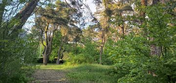 Działka budowlana józefów 1733m2 starodrzew