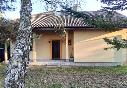 Ciekawy, z piwnicami, do wykończenia