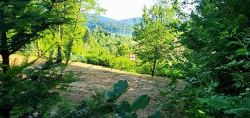 Bieszczady, działka budowlano-rekreacyjna z mpzp