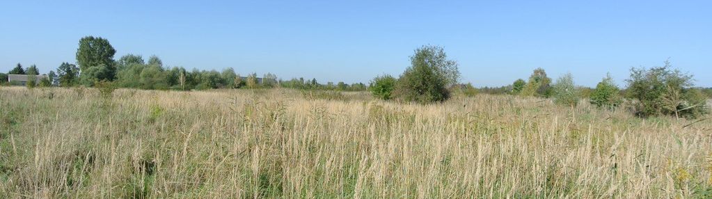 Działka 1221 m2, siesławice, busko-zdrój