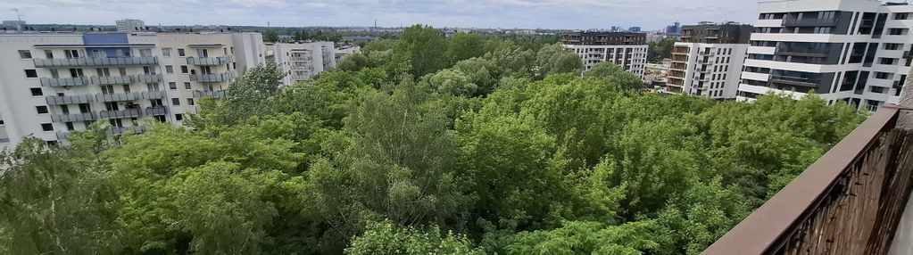 Jasne|duża kuchnia|obłędny widok|po remoncie