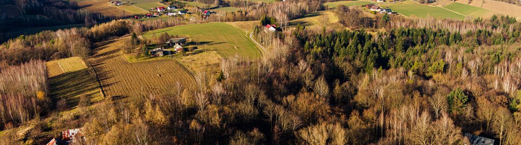 Działka leśna  49,99 ar tuchów