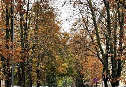 JOLIOT CURIE Górny Mokotów 2 pok. METRO