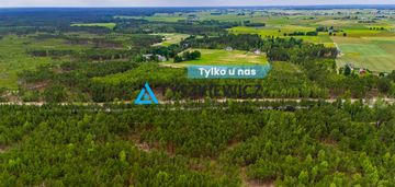 Urokliwa działka leśna o dużej powierzchni!