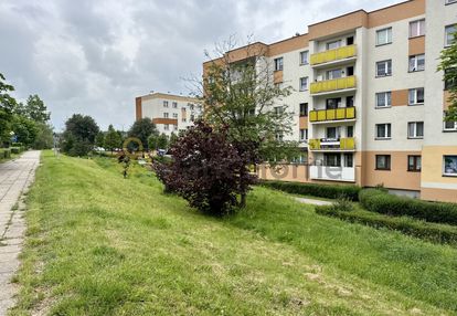 Przestronne mieszkanie i piętro, przedszkole