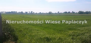 Łekno, gm. wągrowiec