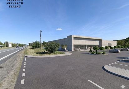 Działka inwestycyjna przy dk 91 – aleksandria