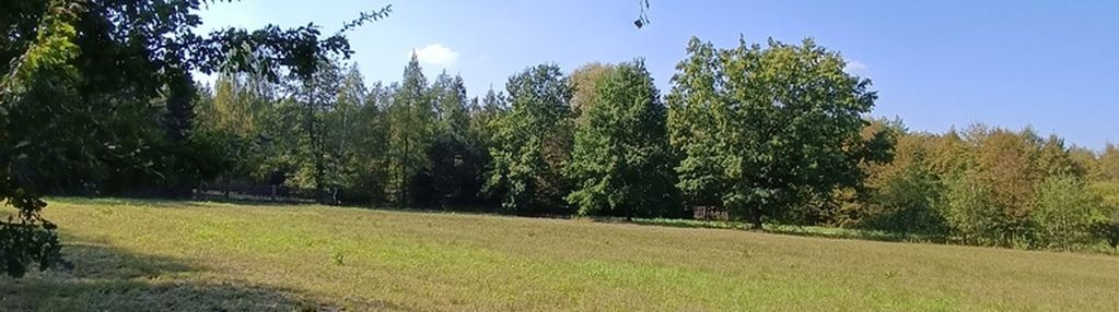 3122m2 z wz, celinów.