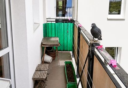 2-pokojowe mieszkanie na pradze-południe