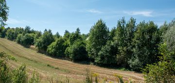 9ar zabudowa bliźniacza | prądnik biały, witkowice