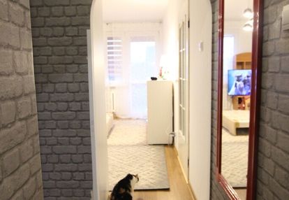 Do sprzedania mieszkanie-łęczna