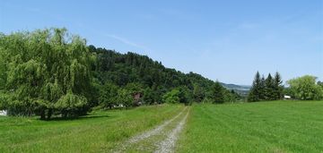 Bajkowe miejsce - cisownica k/ustronia