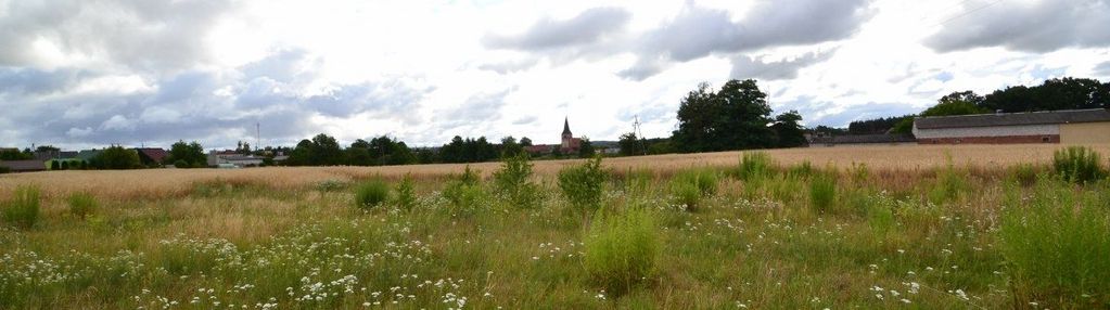 Działka budowlana w śmiłowie