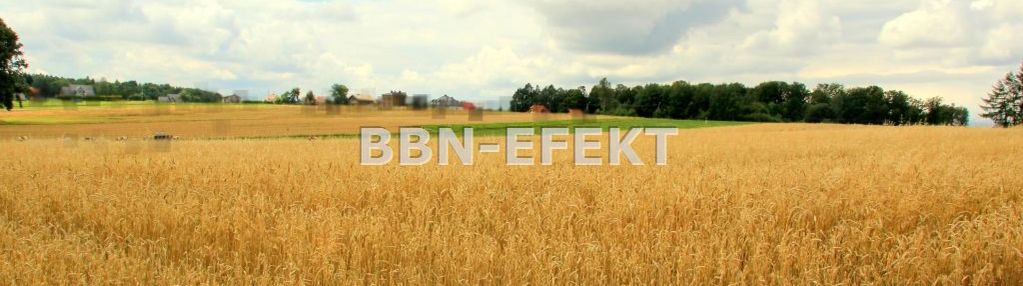 Działka w sąsiedztwie dk1