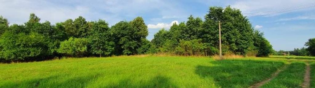 Działka z wejściem do kampinowskiego parku narodow
