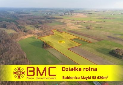 Działka rolna babienica mzyki