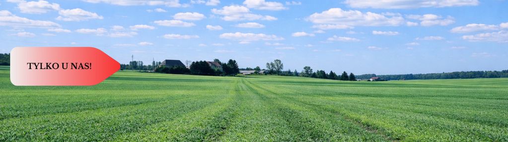 Osetno. 9 działek budowlanych blisko jeziora i las