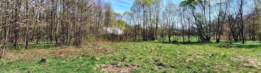 Doświadczaj beskidów - 20 arów naturalnej wolności