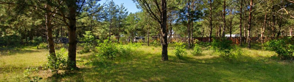 Działka 1139 m² | kameralny zagajnik!!