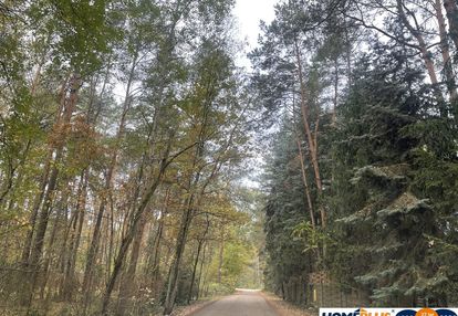 Zbuduj dom w lesie – działka 1850 m².