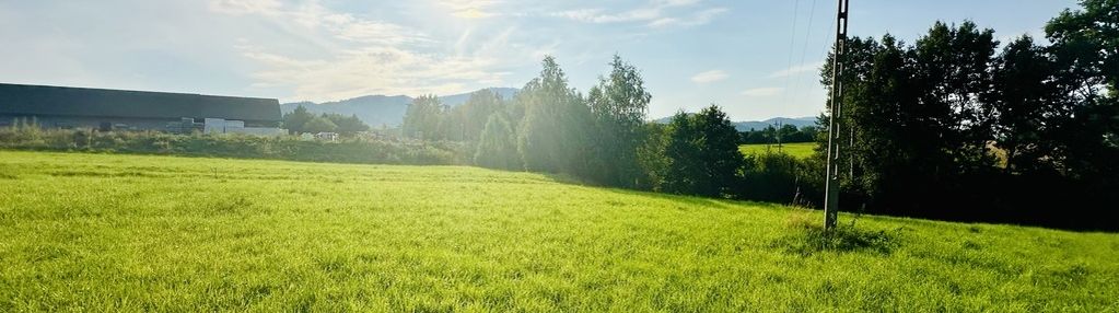 Działka budowlana w lipowej na sprzedaż