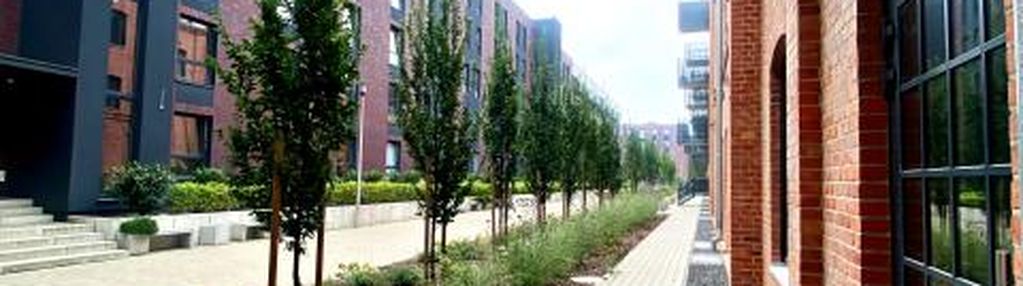 2 pok, nowa inwestycja, gumieńce, nowa cukrownia