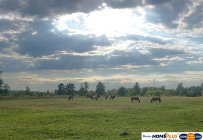 Działka 1,6 ha z domem, media, mpzp – ruda.