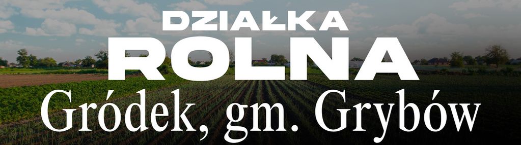 Działka rolna 1,73 ha w gm. grybów