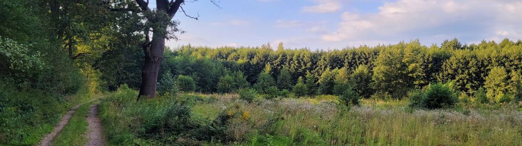 Mokrzyska - 49 arów - warunki zabudowy!