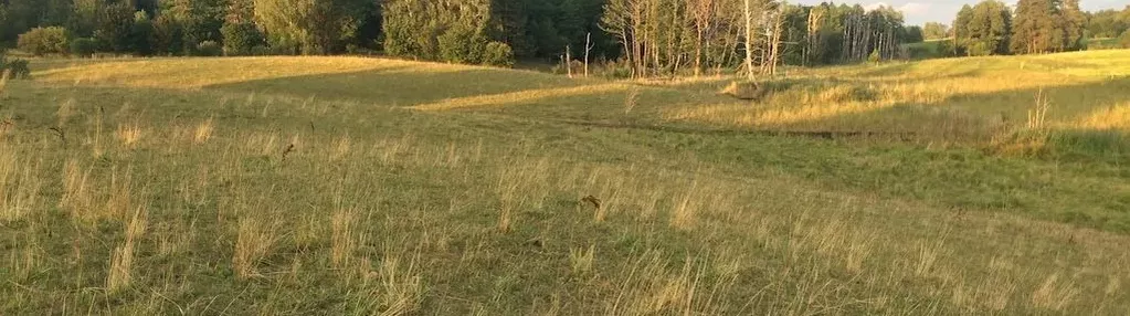 Działka na sprzedaż 8600m2