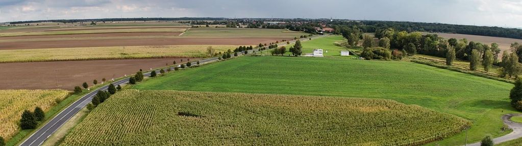 Działka produkcyjno- usługowa gniechowice gm. kąty wrocławskie