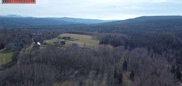 Działka w antoniowie siedliskowa z lasem 8500m2