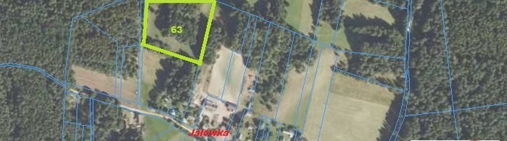 Idealna na siedlisko*w sercu puszczy knysazyńskiej