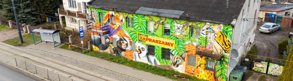 Cała kamienica z niebanalną działką