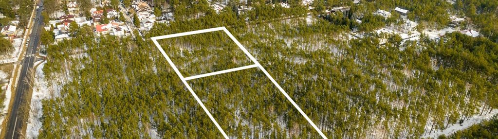 Wesola groszówka- inwestycja premium