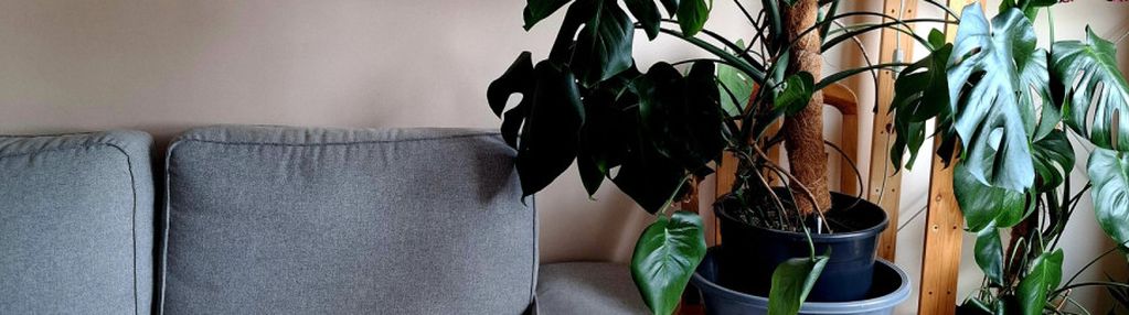 2 pokoje gdańsk wrzeszcz - obok garnizonu