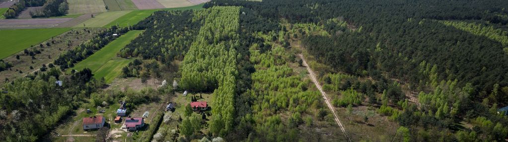 Działki z warunkami zabudowy w nowej wronie