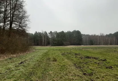 Działka na sprzedaż 7800m2