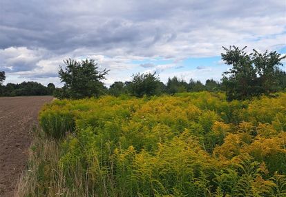 Działka na sprzedaż w ługach ujskich, gmina ujście