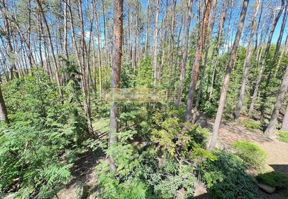 Działka 2581m2 dom 100m2 w lesie